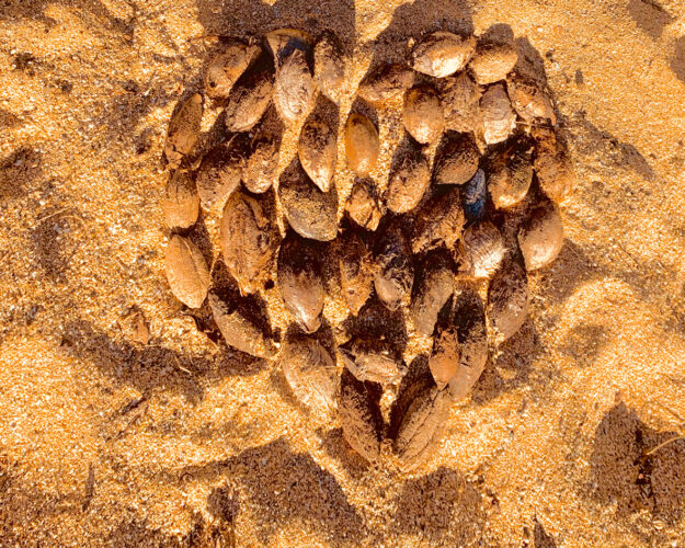 Send your best photos from Maui County to mauiphotos@mauinews.com for a chance to see them featured on our website and in our weekly print edition.